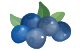 tbs-icon-blueberry