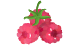 tbs-icon-raspberry